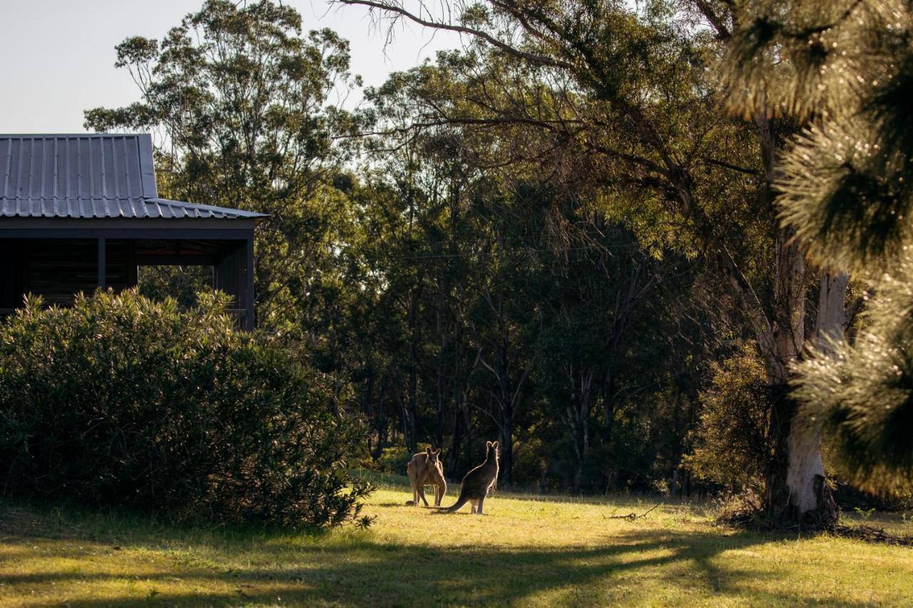 Palmers Lane Estate Hunter Valley Поколбін Екстер'єр фото
